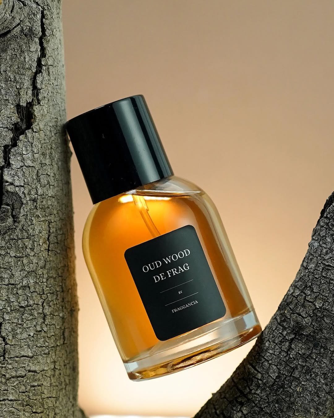 Fraggancia Product Photo 2 by Vebloom